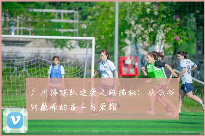 广州排球队逆袭之路揭秘：从低谷到巅峰的奋斗与荣耀