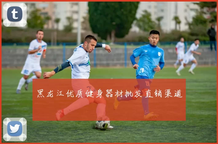 黑龙江优质健身器材批发直销渠道