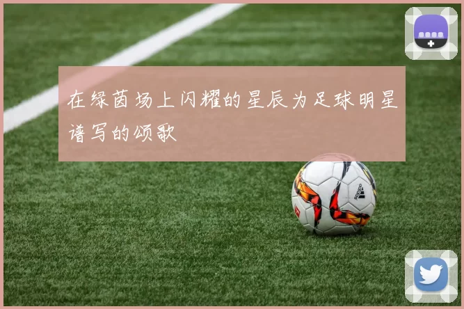 在绿茵场上闪耀的星辰为足球明星谱写的颂歌